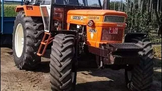 FIAT 1300 DT super ploughing #ploughing