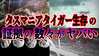 【ゆっくり解説】絶滅は嘘だった! ?タスマニアタイガーの生存説とその恐るべき証拠について