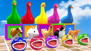 4 Giant Duck Cartoon,Tiger,Cow,rabbit,Gorilla,Hamsters,Dog, Cat Wild Animals Crossing Fountain