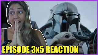 The Mandalorian Episode 3x5 "The Pirate" Reaction