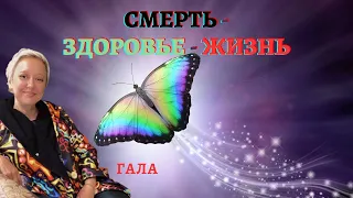 Смерть-Здоровье-Жизнь. Ясновидящая и Таролог Гала Далтро.