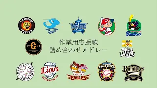 【作業用】プロ野球応援歌メドレーランダム約30分