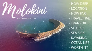 Molokini Snorkeling - FAQs Answered