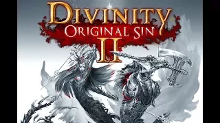 Divinity Original Sin 2 Gameplay GTX1050ti