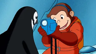 Georges le Petit Singe 🐵 George rencontre un pingouin 🐵 Dessins Animés