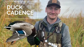 Duck Calling Cadences | Ten Minute Tuesday