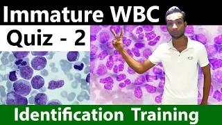 Immature WBC identification Training Quiz -  2/2