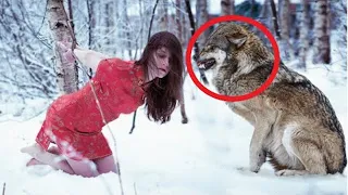 The husband tied his wife to a tree and left. What the wolf did to her shocked all the residents!