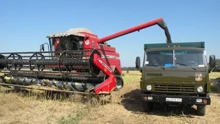 Другий за обсягом урожай зернових за всю історію Чернігівщини