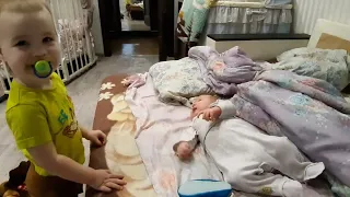 Малышка Бетти с новорожденным братиком