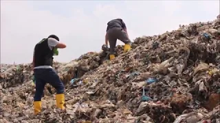 Das Geschäft mit Plastikmüll: Wie deutscher Mülll nach Malaysia kommt