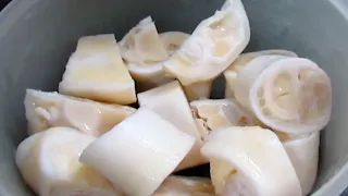 CALDO DE MOCOTÓ DEPOIS DE ASSISTIR ESTE VÍDEO VOCÊ VAI QUERER FAZER ESTA RECEITA