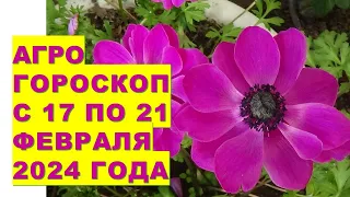 Агрогороскоп с 17 по 21 февраля 2024 года  Agrohoroscope from February 17 to 21, 2024