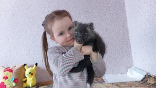 Лисичка Леся знакомится с детьми