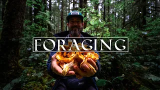Mushroom Foraging on Vancouver Island