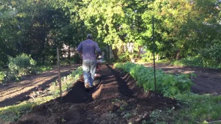 Doing a raised bed with the hiller/furrower attachment on the troybilt horse