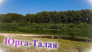Дорога Тайга - Юрга. Берег реки Томь