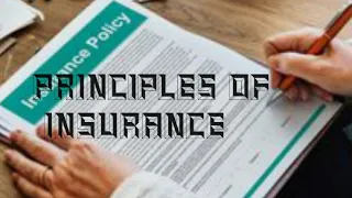 principles of Life Insurance|Details in Hindi|dk quick support