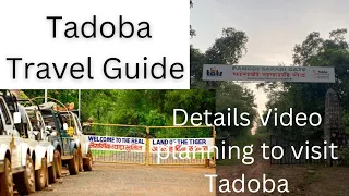 Full itinerary of Tadoba || Tadoba ki puri Jankari || Tadoba Travel Guide || #tadoba #travelguide