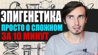 Эпигенетика - наука о наших генах | LOONY