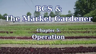 BCS Two-Wheel Tractor Operation in the Market Garden with JM Fortier