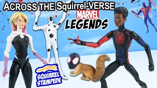 Spider-Man Across the Spider-Verse MARVEL Legends Action Figures Hunt and Display Review