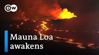 Mauna Loa volcano eruption threatens busy Hawaii highway | DW News