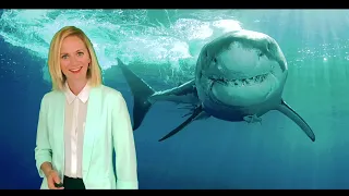 Liv Struss Campaign Video (A Liz Truss Parody)