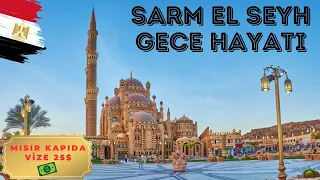 Mısır Kapıda Vize Nasıl Alınır ve Şarm El Şeyh  Gece Hayatı 🇪🇬 Vlog #28