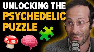 Psychedelics Are Our Greatest Hope For Mental Health Issues with Dr. Dave Rabin, PhD