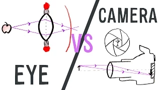 Eye vs Camera | GCSE Physics | Doodle Science