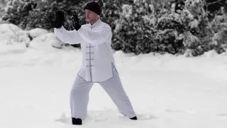 Grasp the Bird's Tail (Yang 85 Tai Chi Form)