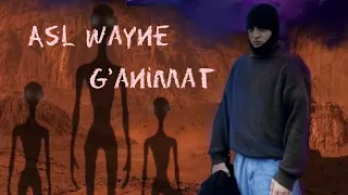 ASL WAYNE - G'ANIMAT (OFFICIAL MOD VIDEO)