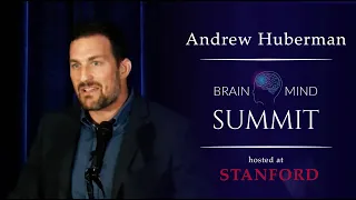 Dr. Andrew Huberman - Breathing Exercises for Optimized Brain Performance