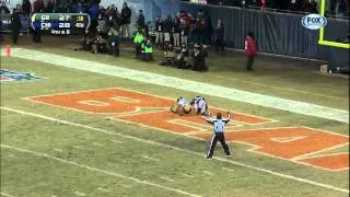 Rodgers TD pass to Cobb Week 17 2013