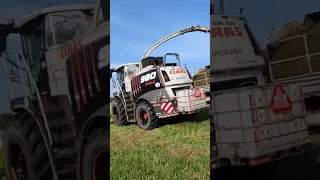 Grass Silage / Senáže Black Claas Jaguar 980 & Tatra 815 Agro #Silage #Claas #Agro #Tatra #Slovakia