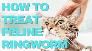 How to Treat Feline Ringworm Fast