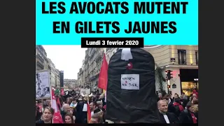 Les avocats mutent en gilets jaunes et partent en manifestation sauvage