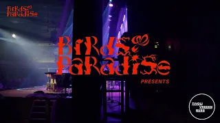 Birds Of Paradise Festival 2024 trailer
