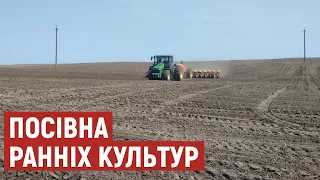 На Волині триває посівна ранніх культур. Як працюють аграрії в умовах воєнного стану