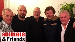 Animals & Friends performing Knock On Wood with Steve Cropper.
