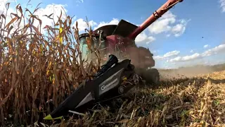 Picking Corn For Ethanol, Population Test & Hot Wiring A Tractor (Harvest 23 Day 19-21) S4 E30