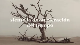 Depeche Mode - Useless (sub. español)