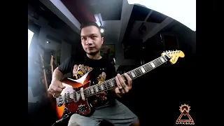 Metallica - St anger on a baritone Bass VI