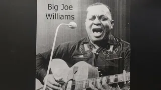 She Left Me A Mule - Big Joe Williams & His 9 String Guitar - Jackson MS - December 3, 1951