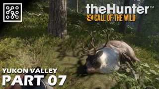 the Hunter: Call of the wild CZ | Vyrážíme na Yukon - Karibu  - Part 08 | Lets play | Česky