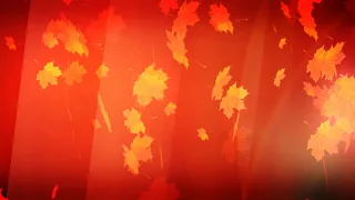 Футаж видео фон Осень скачать бесплатно
