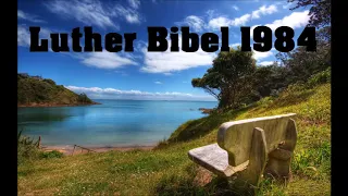 Das Buch der Psalmen - Bibel Hörbuch