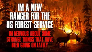 "I'm A New Ranger For The US Forest Service, Strange Things Have Been Going On Lately" Creepypasta