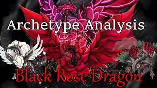 Yu-Gi-Oh Archetype Analysis - Black Rose Dragon | MattTGM